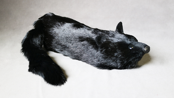 Black Fox Spring Animal by Magic Masters - Trick