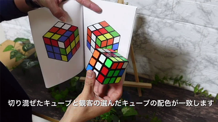 Book Cube Change by SYOUMA &amp; TSUBASA - Trick