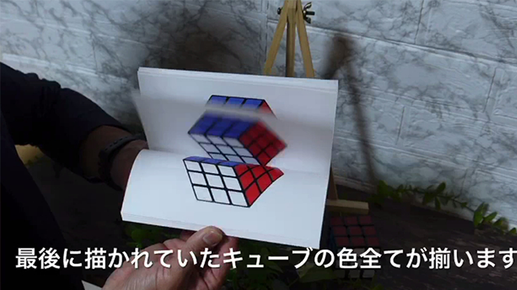 Book Cube Change by SYOUMA &amp; TSUBASA - Trick
