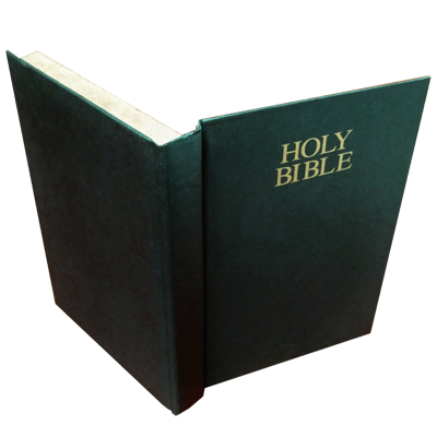Flaming Book (bible)