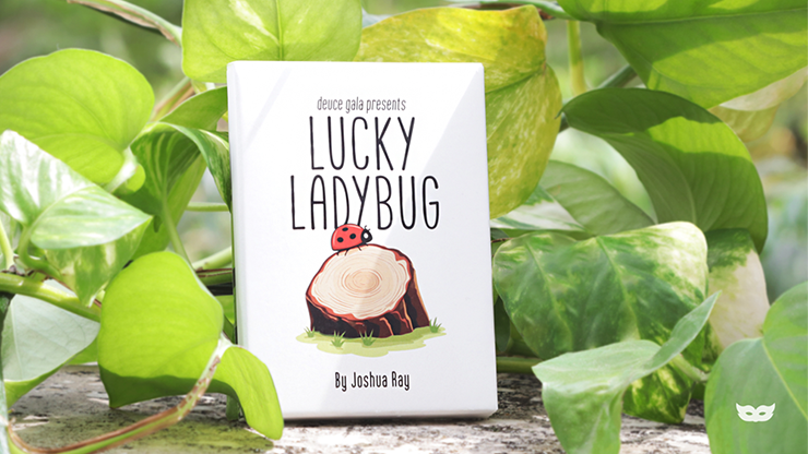 Lucky Ladybug (Gimmicks and Online Instructions) by by Joshua Ray &amp; Deuce Gala Magic