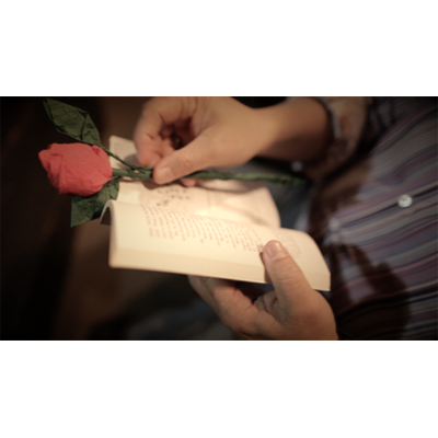 The Saint-Exerpury Rose by Vincent Mendoza &amp; Lost Art Magic - Video DOWNLOA